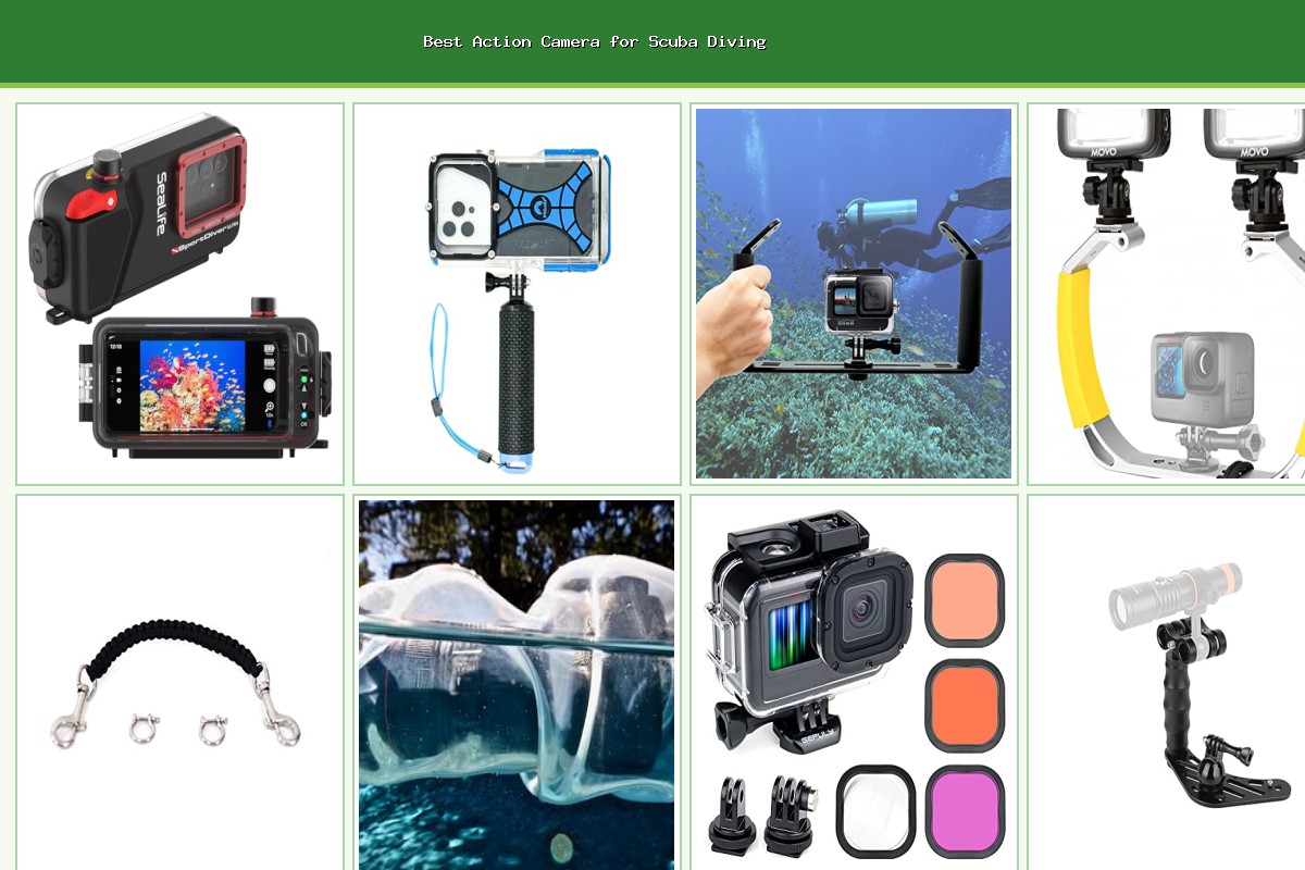 Best Action Camera Accessories for Scuba Diving - Best Action Cameras
