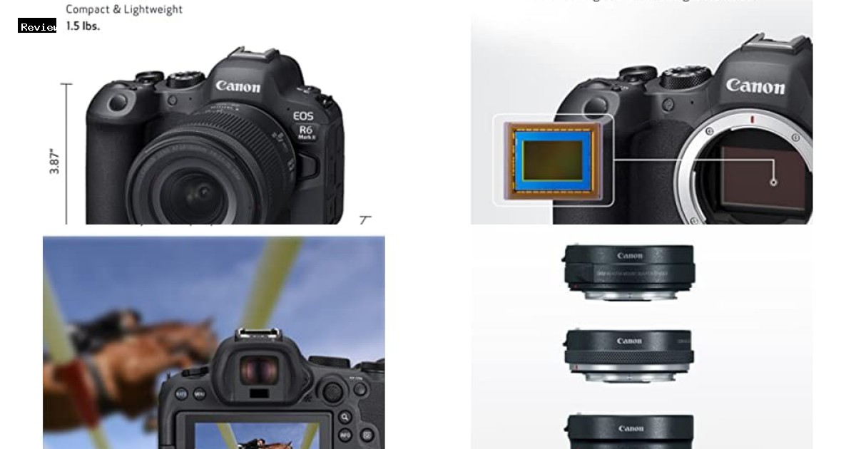 Canon EOS R6 Mark II Review - Best Action Cameras